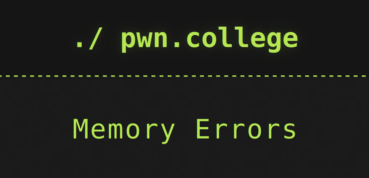 Memory Errors (Module 8)