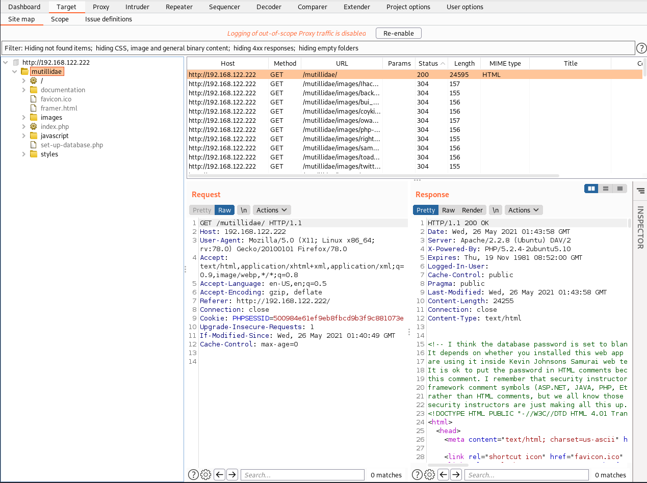 Burp Suite Scan Results